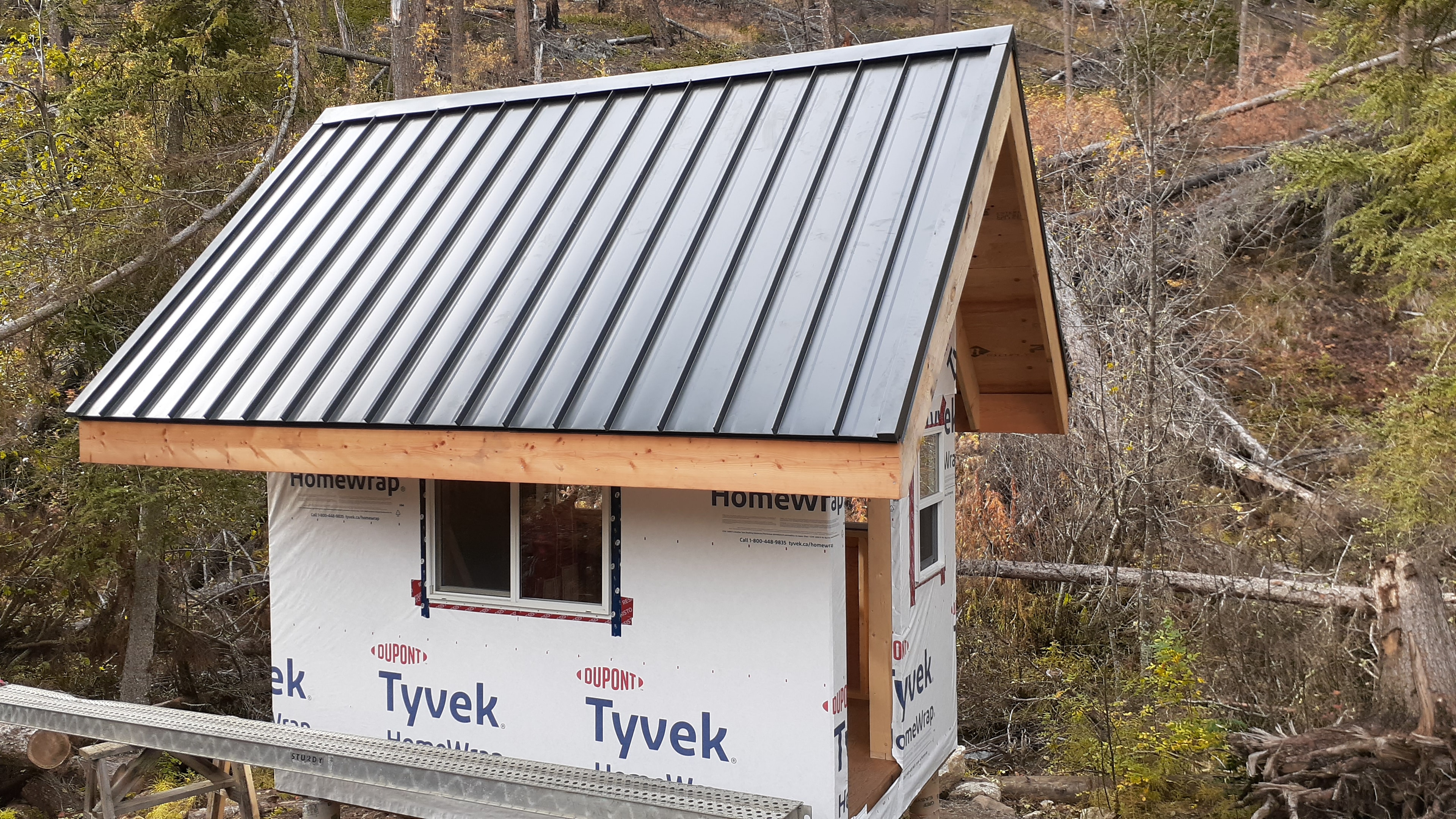 Small cabin under construction with dark standing seam metal roof in forest