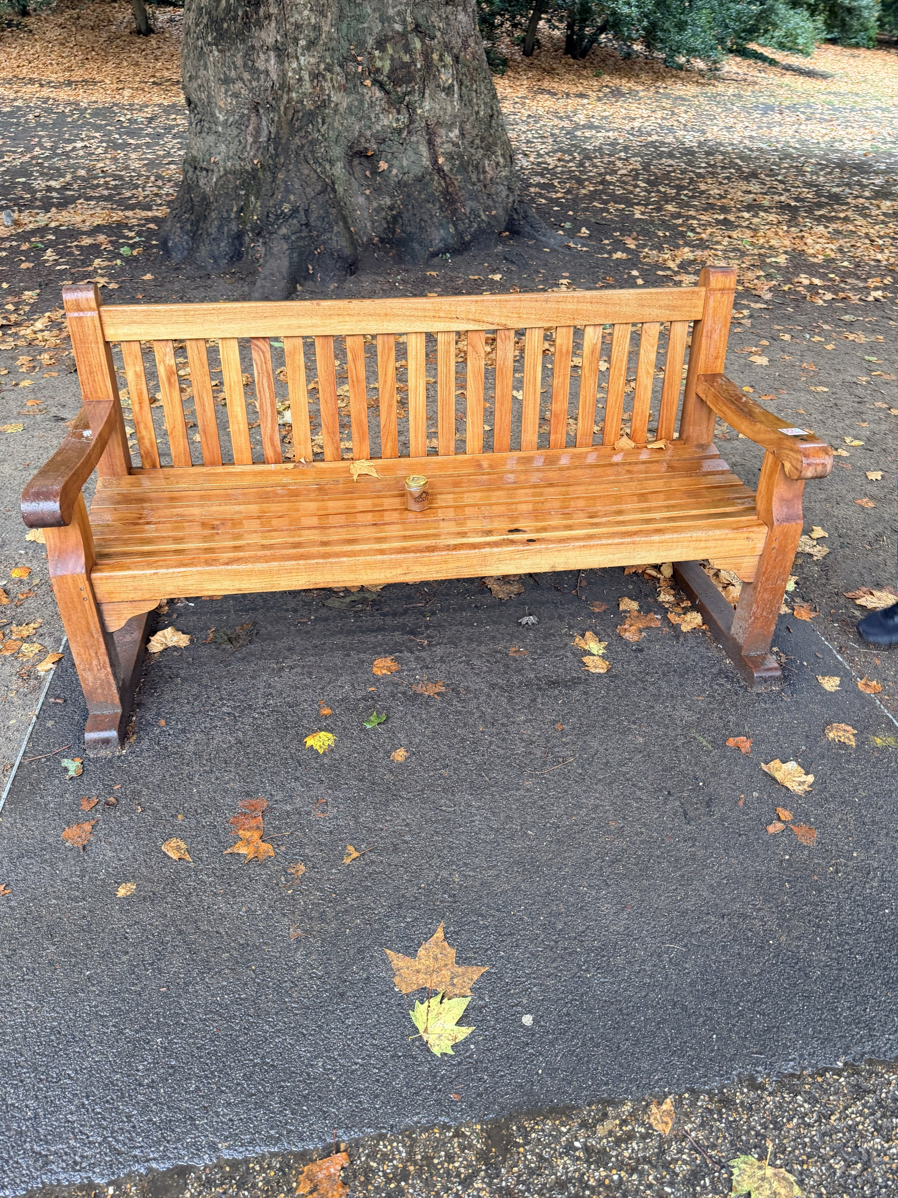 OneKEpp honey jar on a wooden park bench in London with autumn leaves